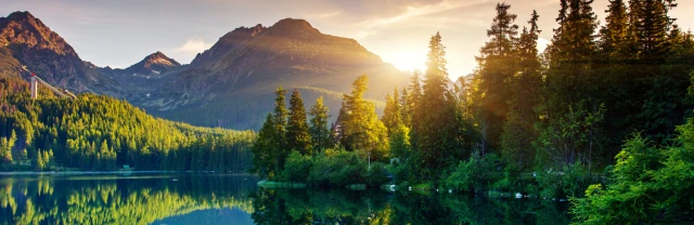 Climate-Partner-Externe Kommunikation-Headerbild